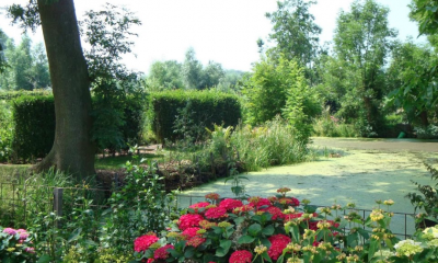 steinse tuin