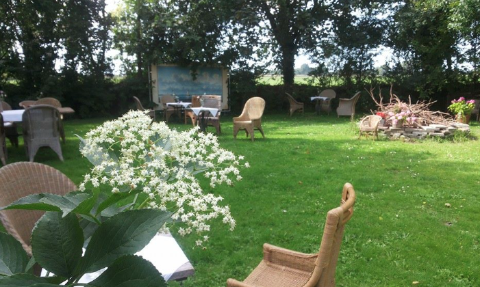 De leukste thee- en pluktuinen van Zeeland theetuin op sloe