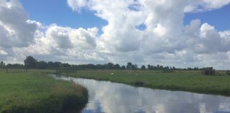 5 tips voor een heerlijk vriendinnenweekend in Laag Holland