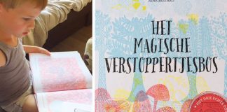 Het magische verstoppertjesbos