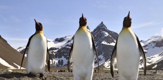 Interview met een reisblogger: Droomplekken