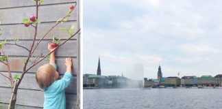 Foto weekoverzicht Judith #81