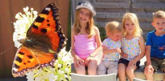 Foto weekoverzicht Judith #84