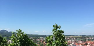 Baden-Württemberg voor outdoor, wijn, food & shoppen