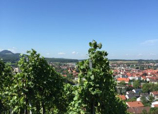 Baden-Württemberg voor outdoor, wijn, food & shoppen