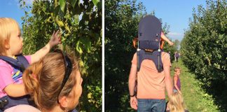 Mijn ervaring met de Minimeis drager