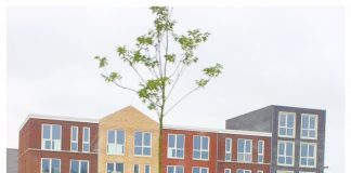 De ramen en deuren van je huis buiten verven huis-rijswijk-buiten