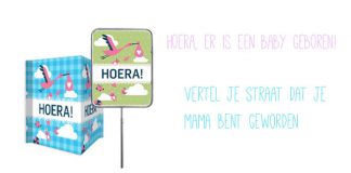 Originele geboorteaankondiging: een geboortebord bedrukken https://www.hipenhot.nl/originele-geboorteaankondiging-geboortebord-bedrukken/