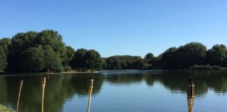 Foto weekoverzicht Judith #90