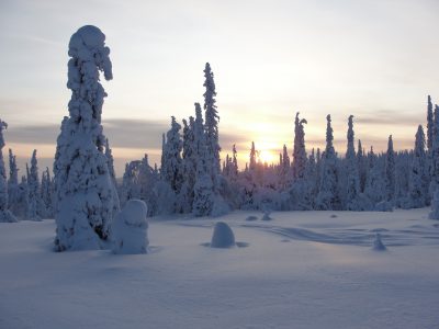 fins-lapland-reishonger