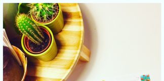 Foto weekoverzicht Judith #100