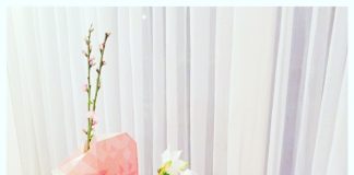 Foto weekoverzicht Judith #107