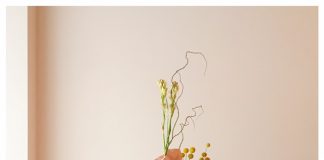 Waarom deze milieuvriendelijke Amazona verf een topper is