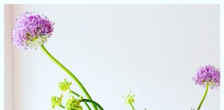 Een verjaardagskalender met jouw eigen foto’s