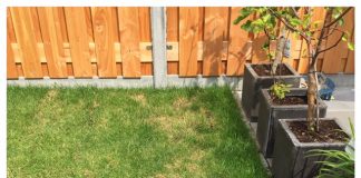 Kies je kunstgras of echt gras? Kies je kunstgras of echt gras