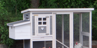 Huisdieren verzorgen een groot plezier voor kinderen