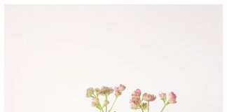 Foto weekoverzicht Judith #126