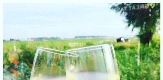 Foto weekoverzicht Judith #130