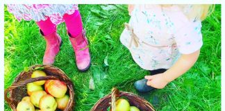 Waar kun je in het najaar appels plukken?