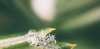 Maak jouw woning winterproof