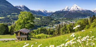 Zo haal je de natuur in je flat
