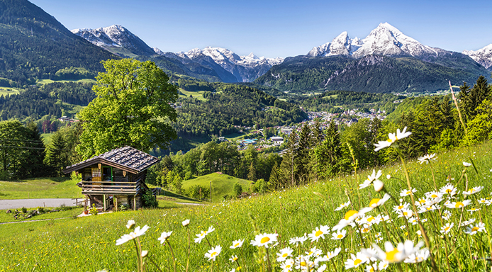 Zo haal je de natuur in je flat