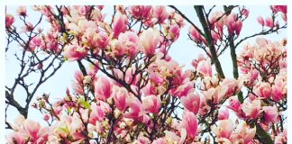 Foto weekoverzicht Judith #170