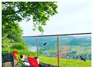 Slapen tussen de wijnvelden in de Moezelstreek