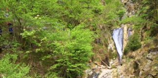 Een roadtrip door het hoge Zwarte Woud