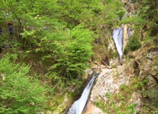 Een roadtrip door het hoge Zwarte Woud