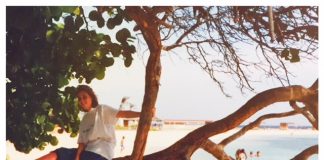 Zonzeker Caribisch gebied aruba boom