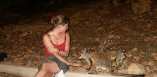 Tips voor avonturen in Australië voor het hele gezin! Tips voor avonturen in Australië voor het hele gezin!