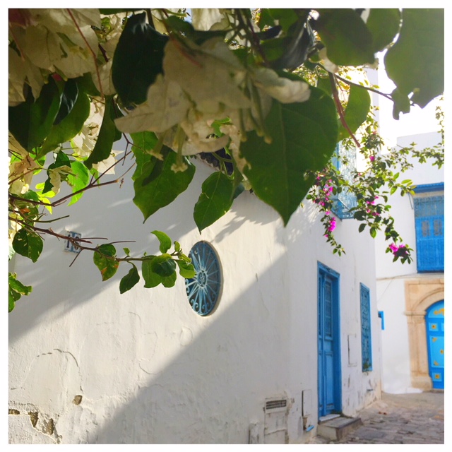 Op vakantie naar Tunesië bloemen sidi bou said