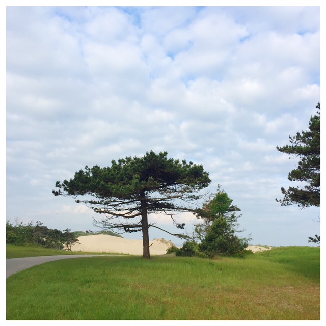 duinen westerschouwen