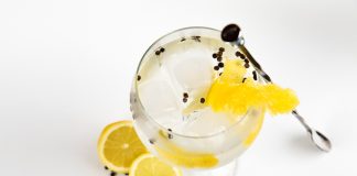 5 x recepten met gin