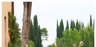 Help; mijn puber wil zijn/haar scootercertificaat halen!