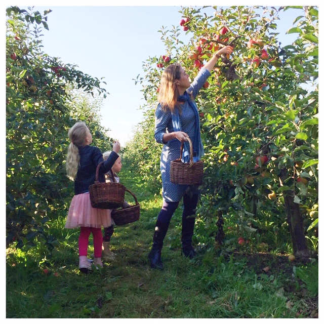 appels plukken 2018