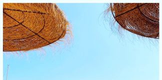 Foto weekoverzicht Judith #198