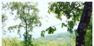 Glamping in Toscane is hip!