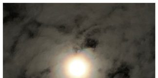 Foto weekoverzicht Judith #210