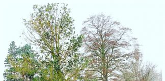 Foto weekoverzicht Judith #211