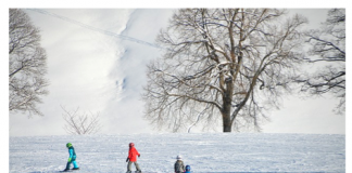Eerste skivakantie: leukste skigebieden voor kinderen wintersport gebieden met kinderen
