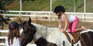 Waar moet je aan denken als je kind op paardrijden wil