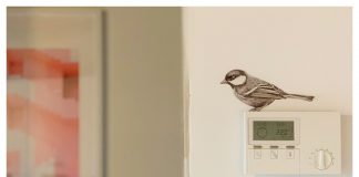 Muurstickers van Fine Forest