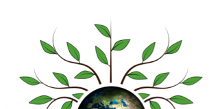 Kinderen milieubewust het huis uit: hoe doe je dat?