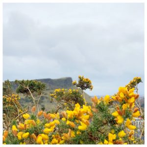 arthurs seat