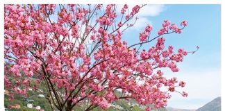 Foto weekoverzicht Judith #224