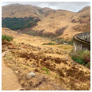 bergen glenfinnan