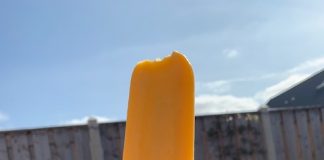 Foto weekoverzicht Judith #220