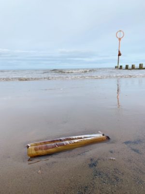 landal piperdam portobello beach